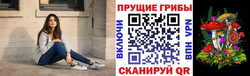 Галлюциногенные грибы ЛСД  Купить закладки  Новомичуринск 