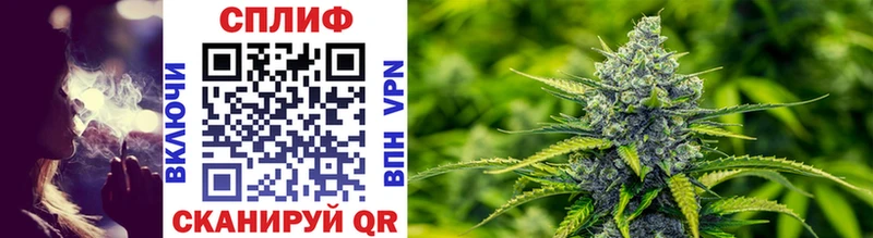 Купить  Новомичуринск  Шишки марихуана SATIVA & INDICA 